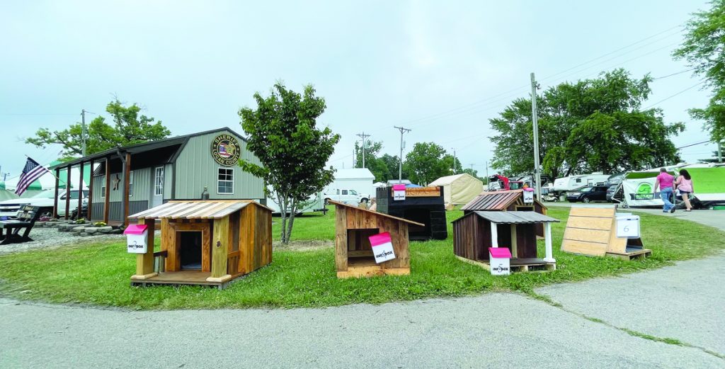 Dog house auction – Examiner Online